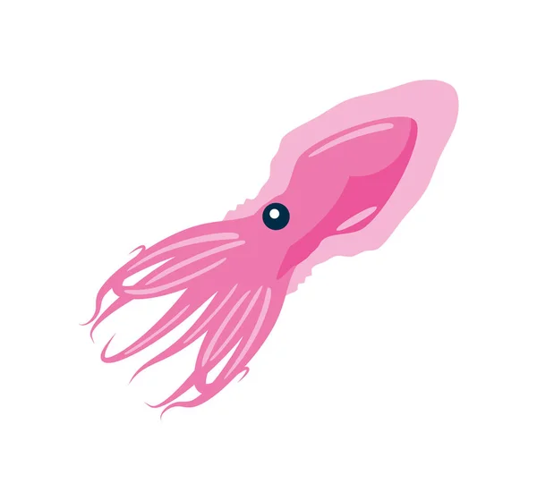 Squid Aquatic Animal Icon Isolated — Stock Vector