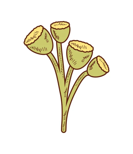 Bitki Çiçek Simgesi Izole Tasarımı — Stok Vektör