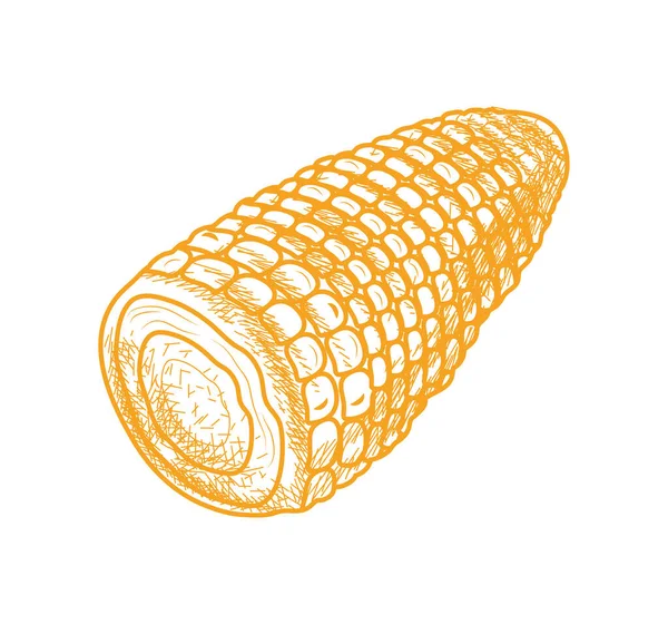 Kukorica Kézzel Rajzolt Élelmiszer Ikon — Stock Vector