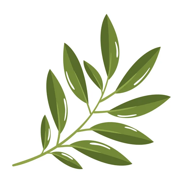Branch Leaves Icon Isolated Design — Vector de stock