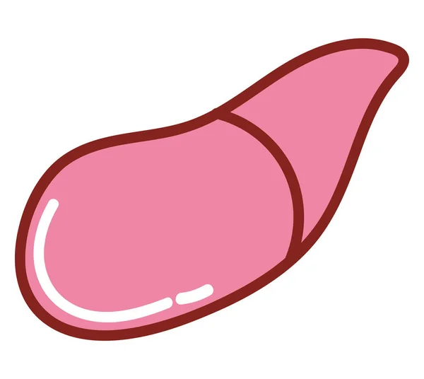 肝臓の人体分離型アイコン — ストックベクタ