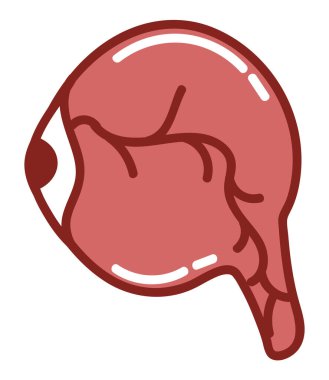 göz küresi insan vücudu izole edilmiş simgesi