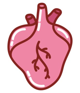 kalp insan vücudu izole simgesi