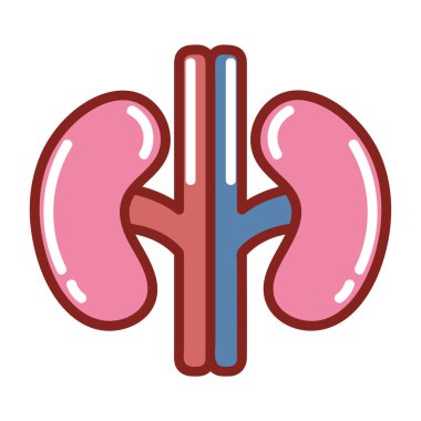 Böbrekler insan vücudu izole edilmiş simge