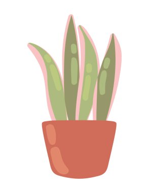 houseplant icon isolated white background