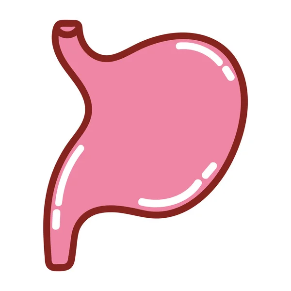 Estómago Cuerpo Humano Aislado Icono — Archivo Imágenes Vectoriales
