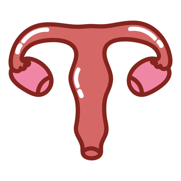 Uterus Human Body Isolated Icon — Stock Vector