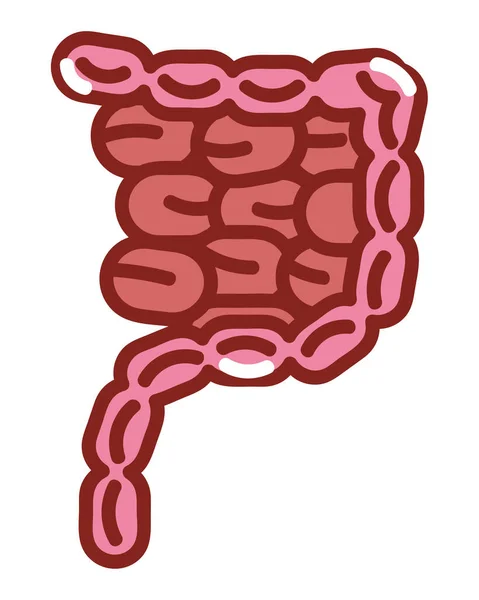 腸内人間の体内隔離アイコン — ストックベクタ