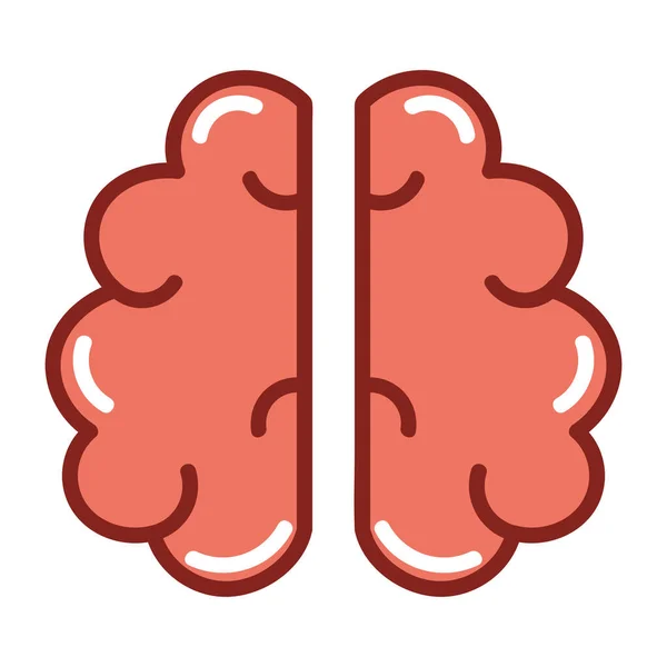 Mozek Lidské Tělo Izolované Ikony — Stockový vektor