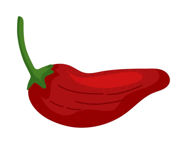 Half Chili Spice Icon Isolated Design — 图库矢量图片