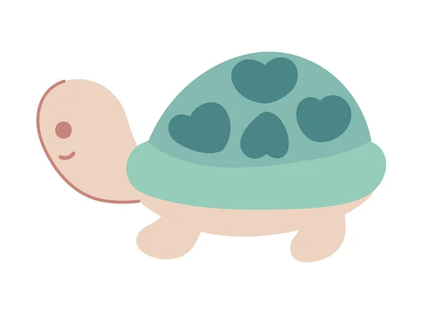 Turtle Cute Animal Icon Isolated — Stock Vector