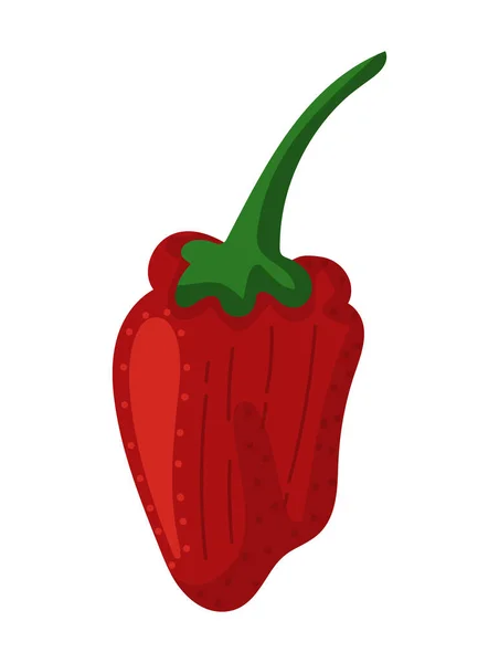 Chilli Čerstvé Zeleniny Ikona Izolované Bílé Pozadí — Stockový vektor