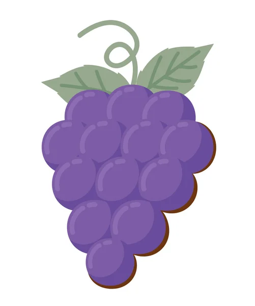 Grapes Fruit Icon Isolated Design — Stock Vector