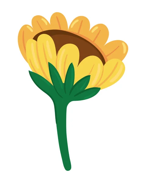 Sunflower Icon Isolated White Background — Stock Vector
