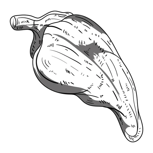 Чилі Свіжа Овочева Ікона Ізольована — стоковий вектор