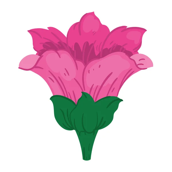 Pink Flower Icon Isolated Design — Stock Vector