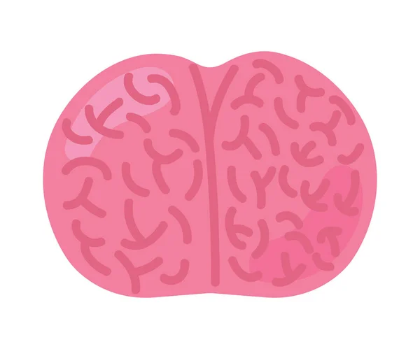 Εικονίδιο Εγκεφάλου Απομονωμένο Λευκό Φόντο — Διανυσματικό Αρχείο