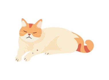 Yumuşak sarı kedi yavrusu oturma simgesi izole