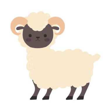 ram çiftliği hayvan simgesi izole