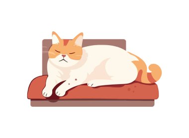 Yumuşak kedi yavrusu izole edilmiş rahat kanepe ikonu üzerinde dinleniyor.