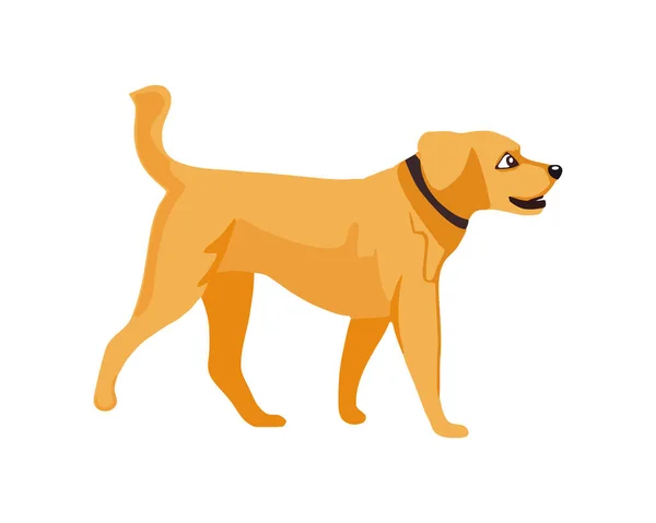 Cachorro Mascota Retrato Icono Aislado — Vector de stock