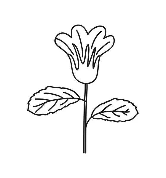 有機手描きベクトル植物のアイコンを隔離 — ストックベクタ
