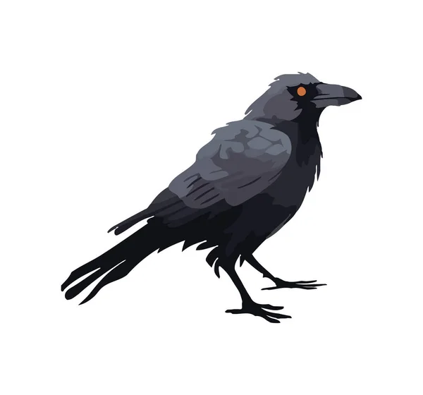 Oiseau Corbeau Avec Icône Bec Pointu Isolé — Image vectorielle