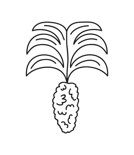 Icône Nature Plante Botanique Isolé — Image vectorielle