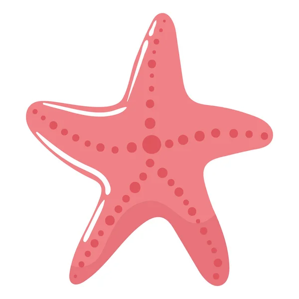 Estrella Mar Naturaleza Animal Icono Aislado — Vector de stock