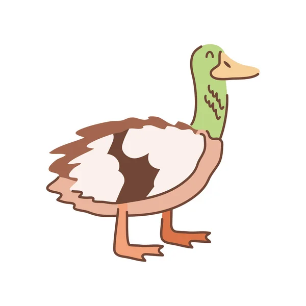 可爱的家禽鸭卡通图标被隔离 — 图库矢量图片