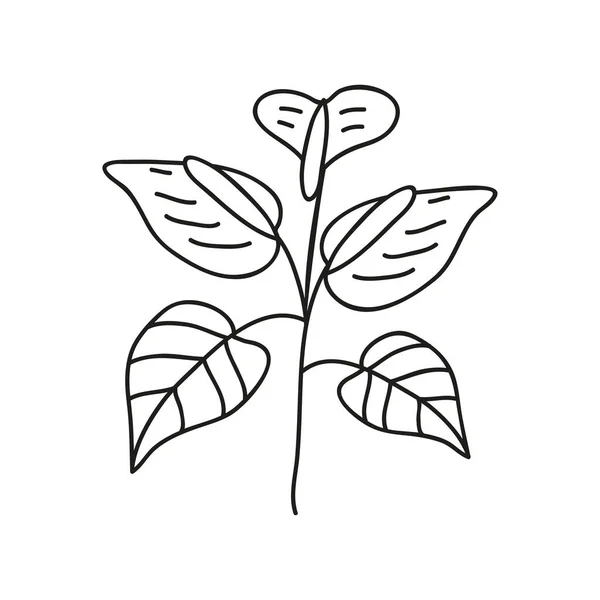 ハーブの葉の花の自然アイコンを隔離 — ストックベクタ