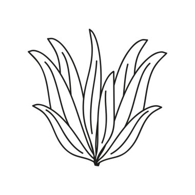 Yaprakların büyümesi doğa ve botanik ikon izole