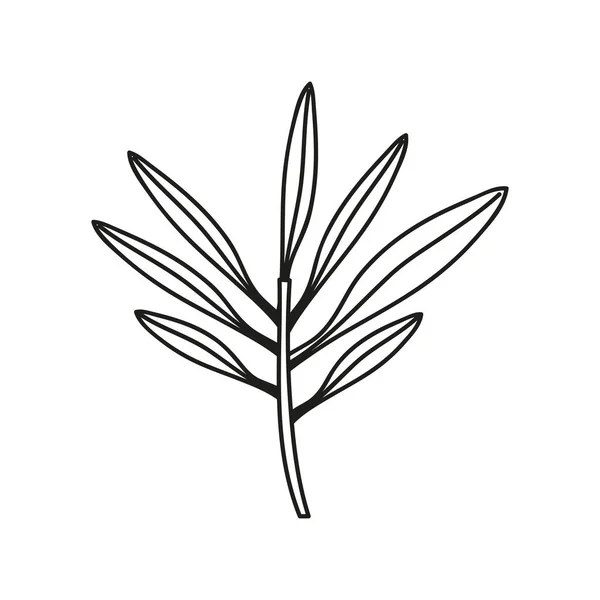 Свежий Лист Растения Ботаническая Икона Природы Изолирована — стоковый вектор
