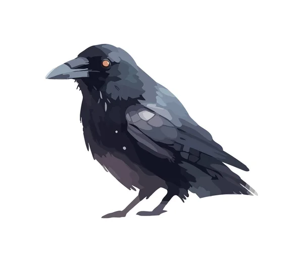 Feathered Bird Crow Animal Wild Icon Isolated — Stock Vector