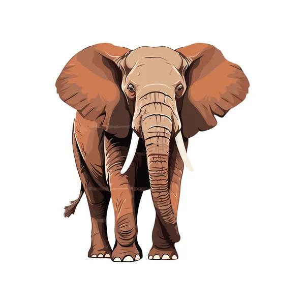可爱的大象小象行走图标被隔离 — 图库矢量图片