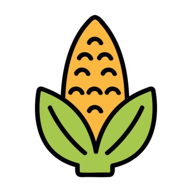 Sebze olgun organik mısır koçanı ikonu izole