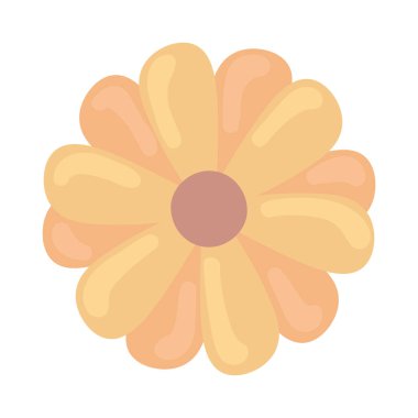 Beyaz arkaplan simgesi üzerindeki çiçek izole edildi