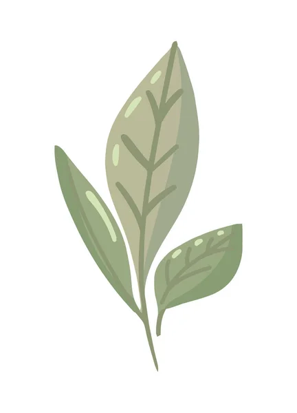 Yeşil Yaprak Simgesi Izole Edildi — Stok Vektör