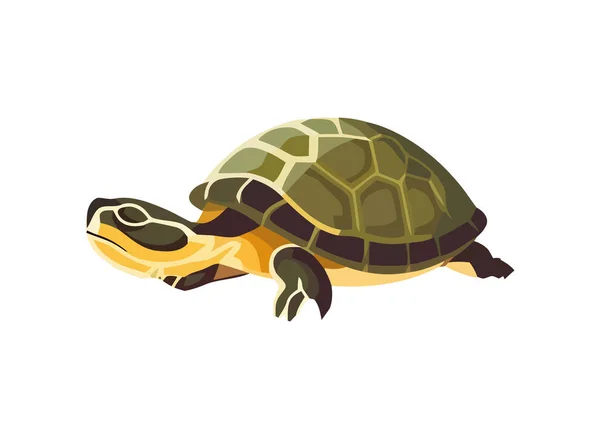 Langsame Schildkröte Eine Niedliche Reptilien Ikone — Stockvektor