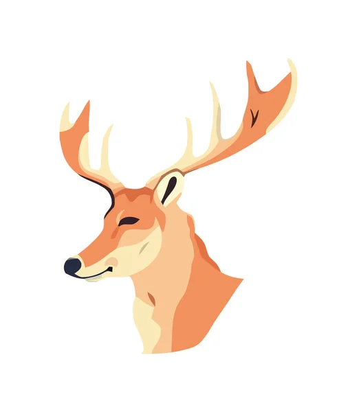 Smiling Winter Deer Nature Beauty Outdoors Icon Isolated — Stock Vector