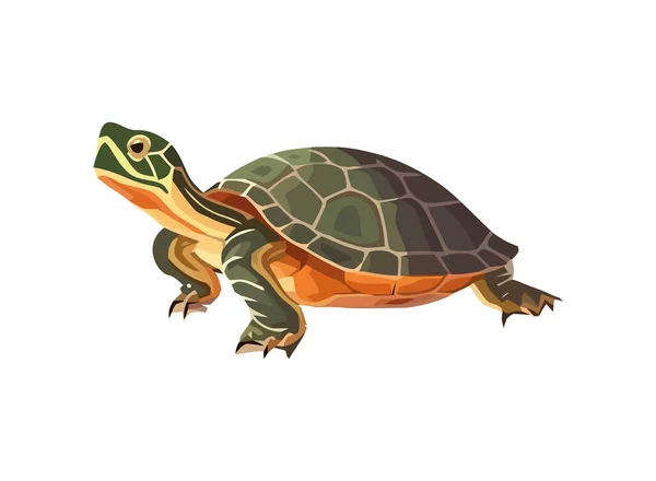 Slow Cute Turtle Icon Isolated — Stock Vector