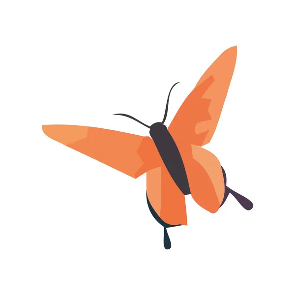 Pillangó Természet Állat Ikon Elszigetelt — Stock Vector