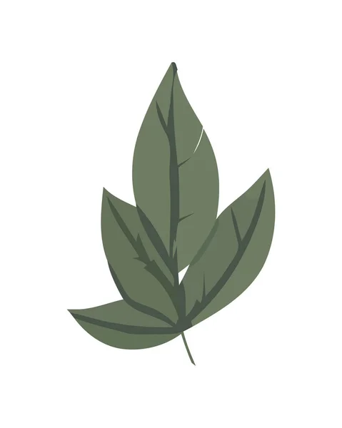 绿色植物生长象征着自然设计图标的隔绝 — 图库矢量图片