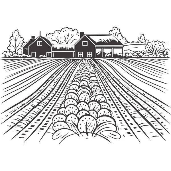 Органические Фермы Собирают Иконку Здорового Питания — стоковый вектор