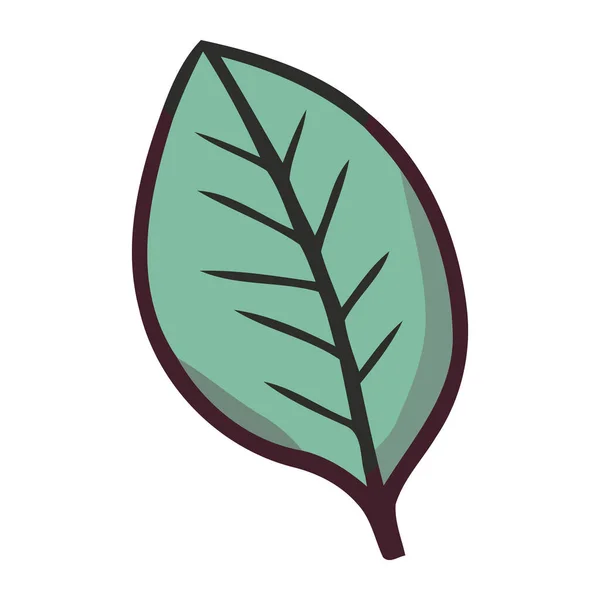 绿叶象征着自然生长的象征 — 图库矢量图片