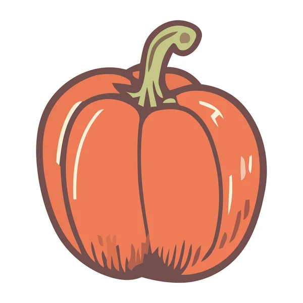 Harvest Fresh Pumpkin Icon Isolated — Stock Vector