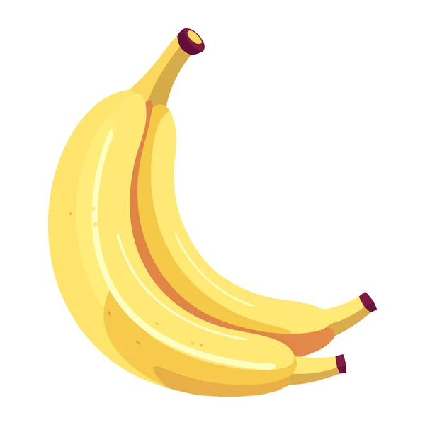 Banana Madura Lanche Saudável Ícone Natureza Isolado — Vetor de Stock