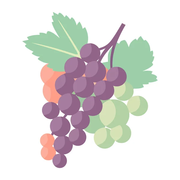 Ripe Grape Bunch Freshness Nature Icon Isolated — Stock Vector