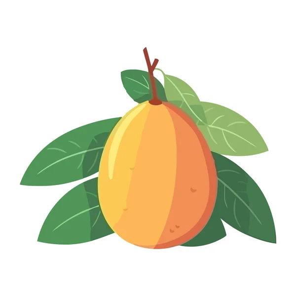 Świeże Organiczne Wektor Mango Ilustracji Ikona Izolowane — Wektor stockowy