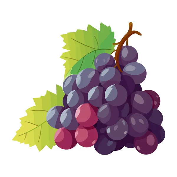 Ripe Grape Bunch Illustration Icon Isolated — Stock Vector